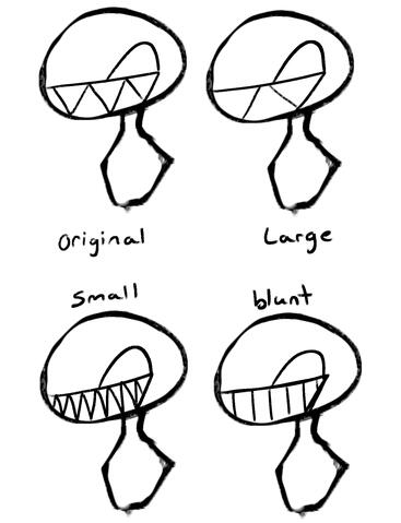 Teeth